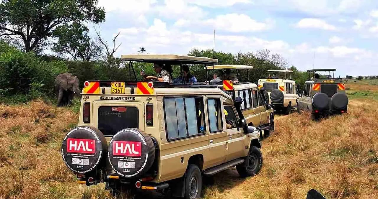 Safari Land Cruisers on game drive with elephant in Masai Mara