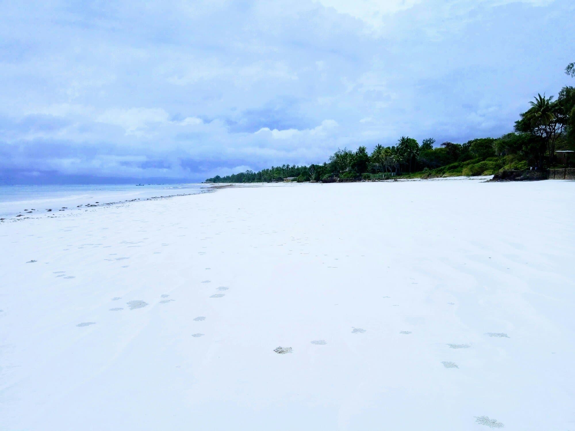 White sand shoreline and palms at Diani Beach