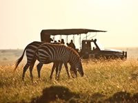 kenya safaris