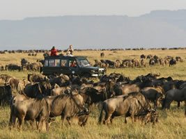 kenya tanzania safaris