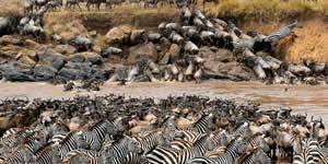 masai mara trips